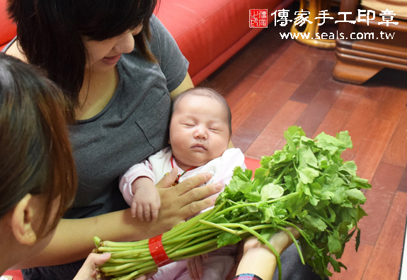 吳寶寶(台中北屯區到府嬰兒寶寶滿月剃頭理髮、免費到府嬰兒剃胎毛儀式吉祥話)。到府剃頭剃胎毛主持、專業拍照、DVD光碟、證書。★購買「臍帶章、肚臍章、胎毛筆刷印章」贈送：剃頭、收涎、抓周，三選一。2015.12.06 照片10